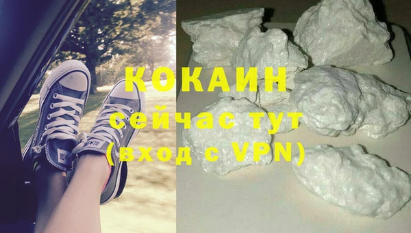 PSILOCYBIN Киренск