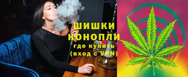 PSILOCYBIN Киренск