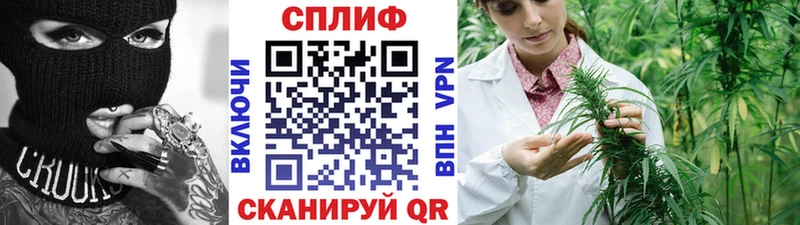Канабис планчик  Купить где  Симферополь 